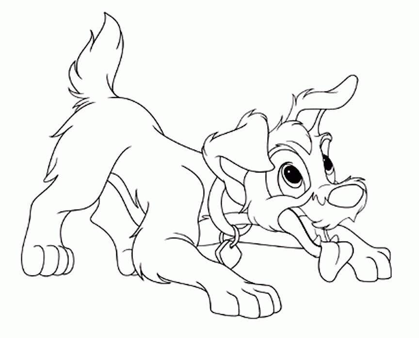 Puppy Coloring Page - Free