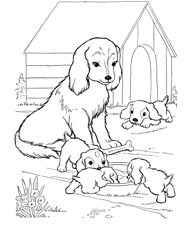 Puppy Coloring Pages | All Puppies Pictures and Wallpapers