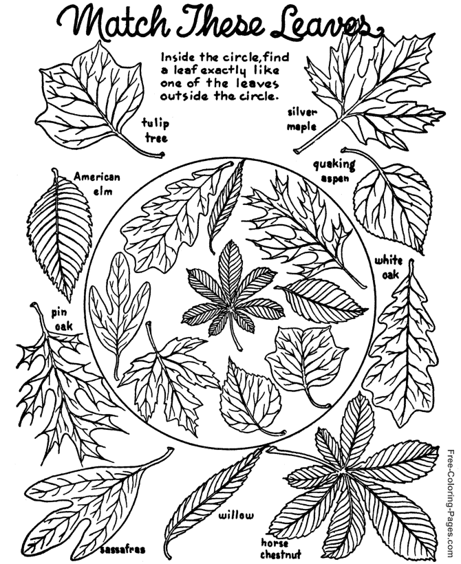 Autumn or Fall Coloring Book Pages