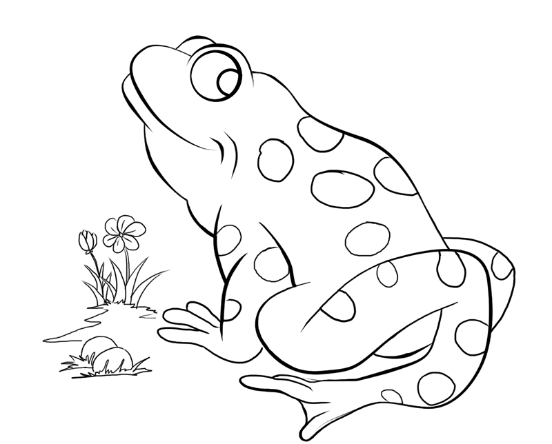 Reptile Coloring Page | Free Printable Coloring Pages