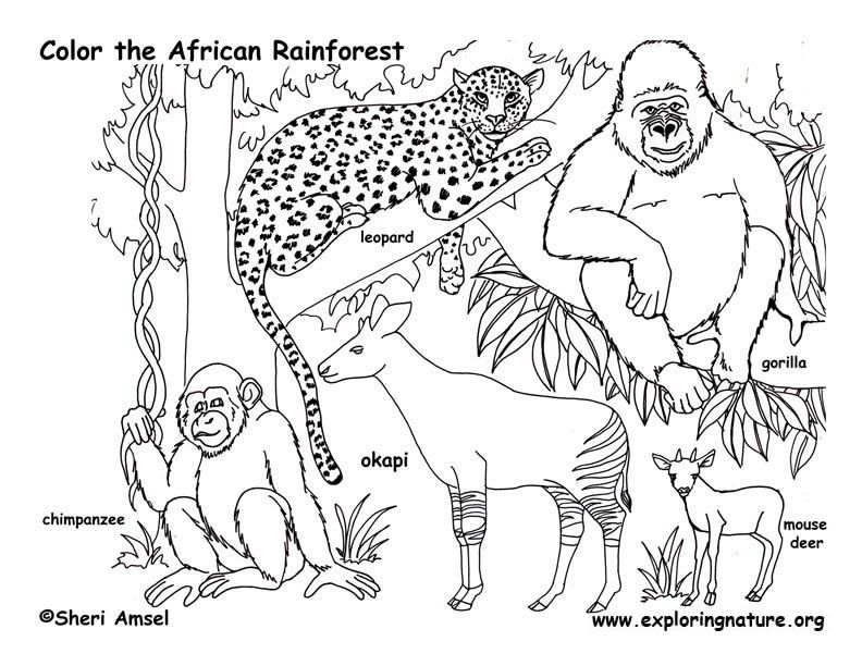 African| Coloring Pages for Kids | Free Printable Coloring Pages