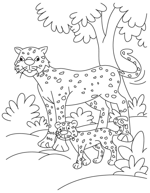 baby Cheetah Colouring Pages