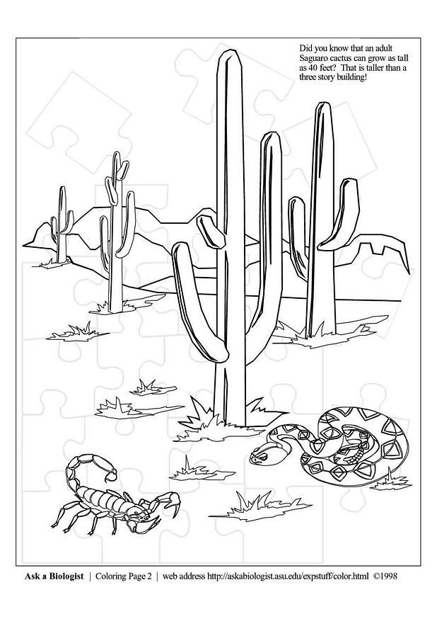Desert Coloring Page | Free Printable Coloring Pages