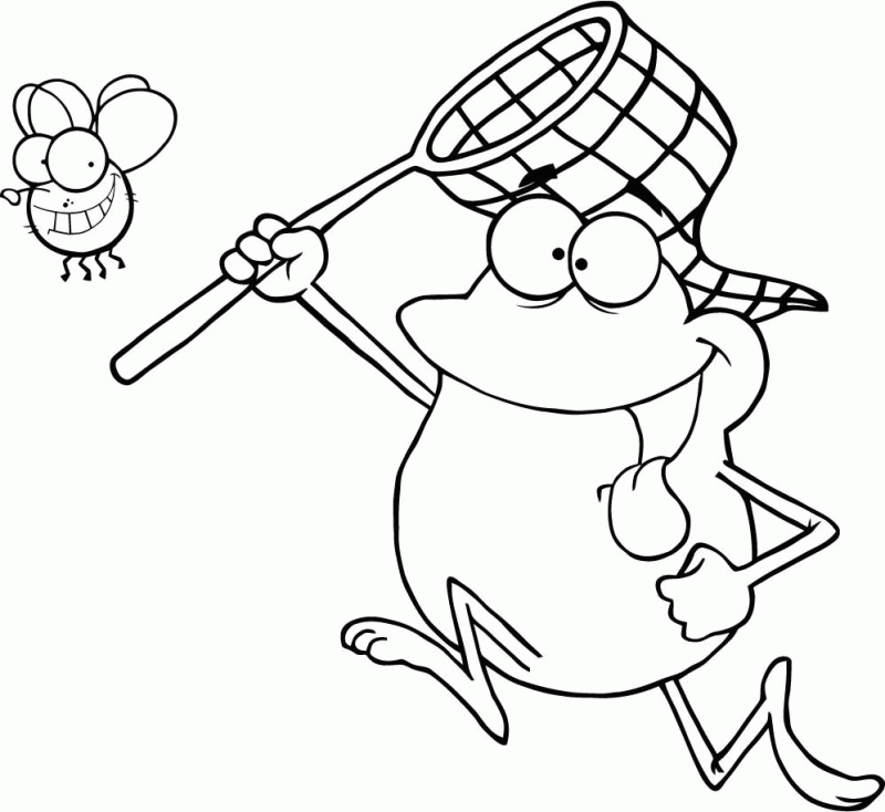 Frog Chassing Fly with Net Coloring Page - Free  Printable