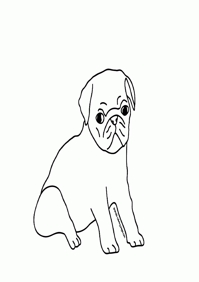 Free Pug Puppy Coloring Page Download Free Pug Puppy Coloring Page Png Images Free Cliparts On Clipart Library