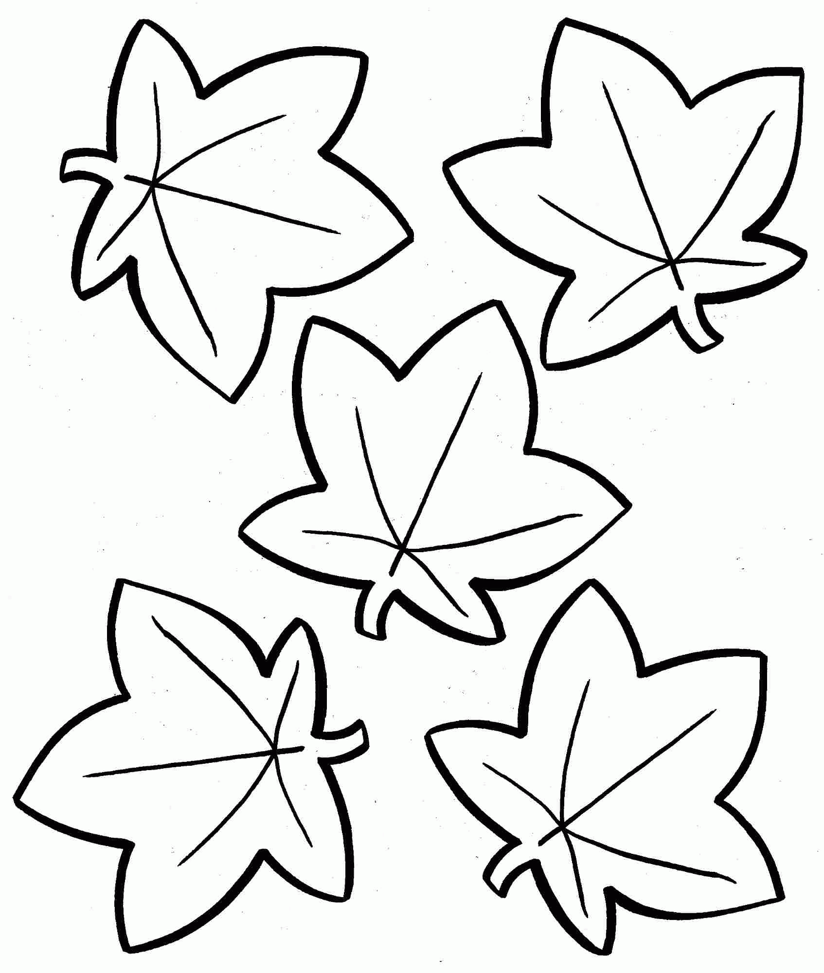 Leaves Coloring Page