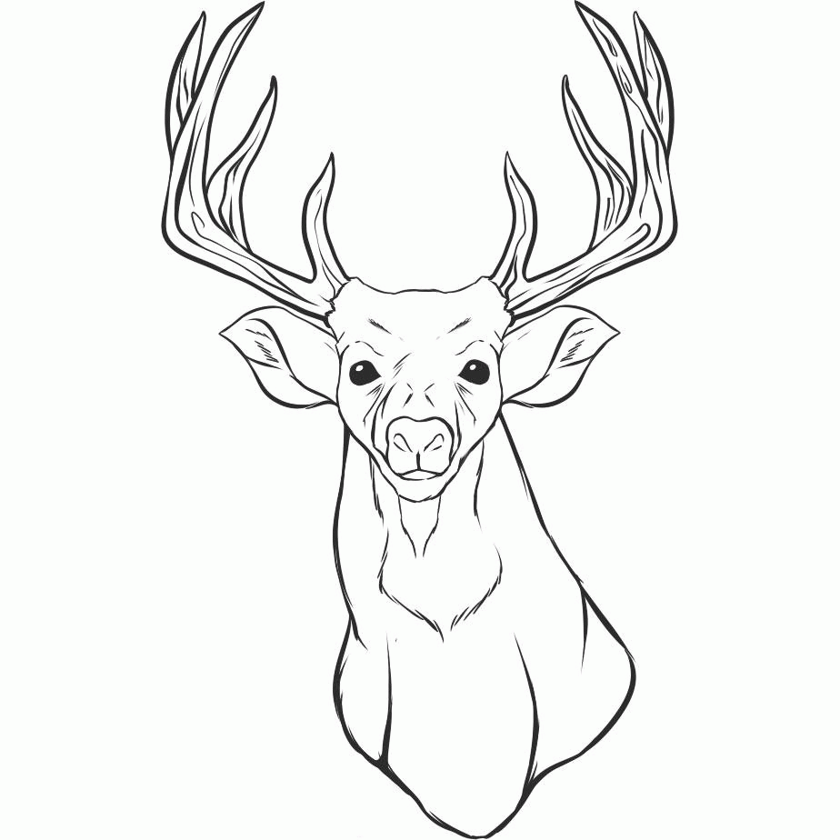 Featured image of post Reindeer Head How To Draw A Reindeer Face - This lesson is super fun for all ages.