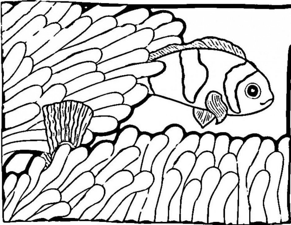 Clown Fish Coloring Page Coloring Pages Pictures 