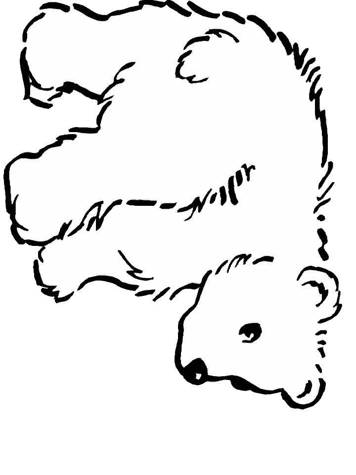 polar bear cub Colouring Pages