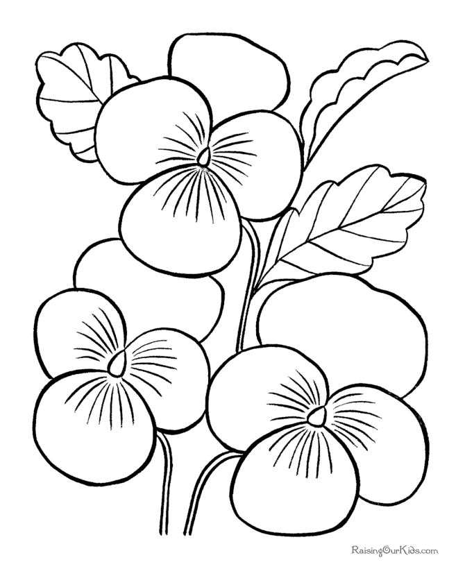 Flower Color Pages For Kids | Flowers Coloring Pages | Kids