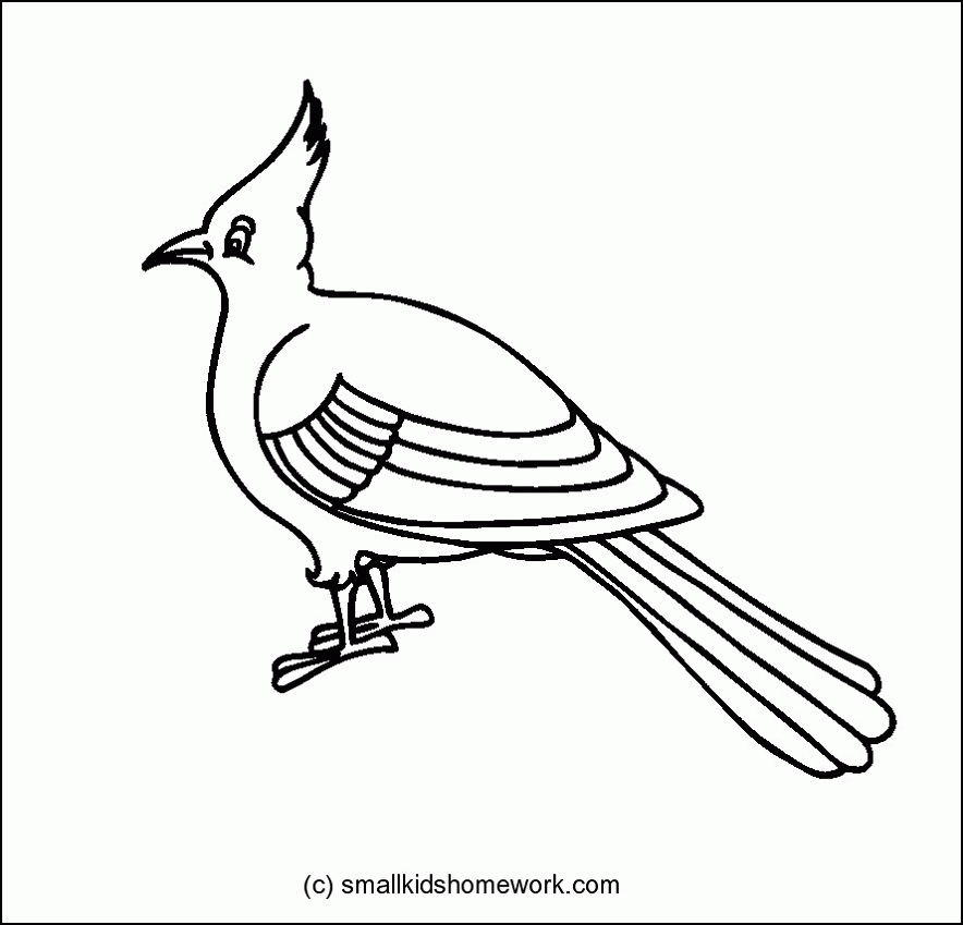 Bulbul Bird Outline and Coloring Picture with Interesting Facts