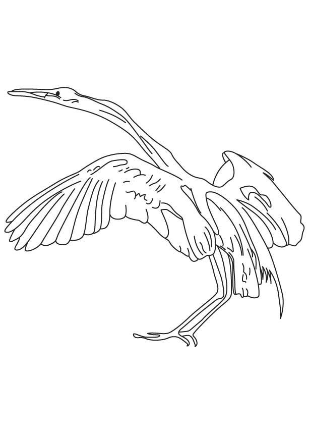 Snowy egret coloring page | Download Free Snowy egret coloring