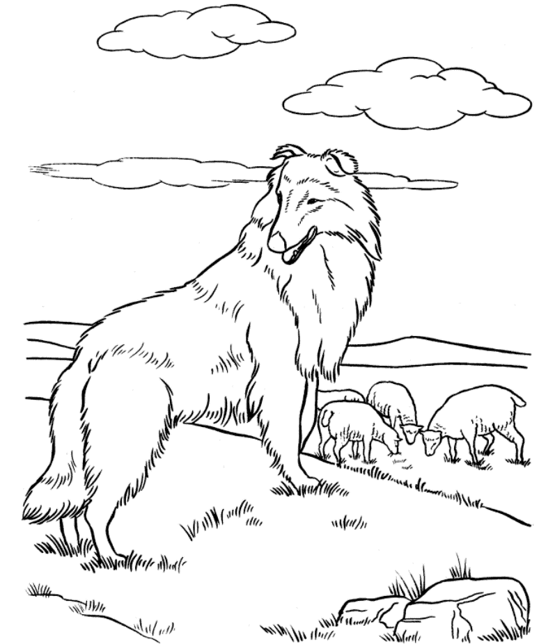 y shepherd Colouring Pages