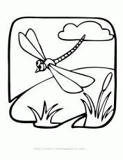 dragonfly | printable coloring in pages for kids - number online