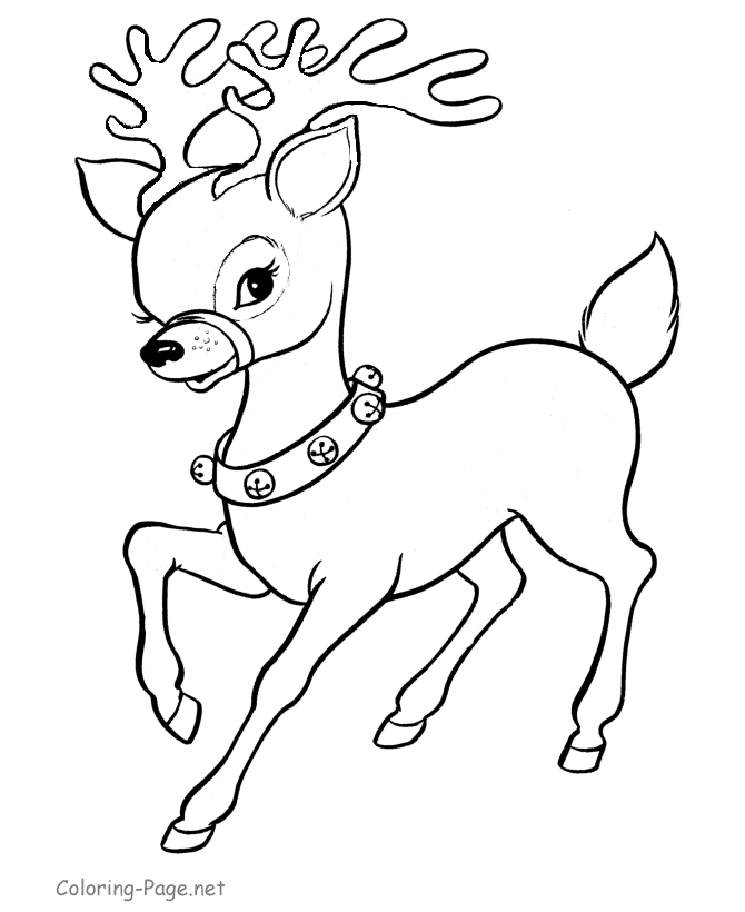Christmas Coloring Pages - Reindeer coloring page