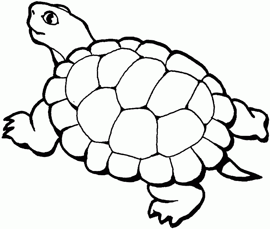 Free Cute Coloring Pages Of Animals, Download Free Cute Coloring Pages