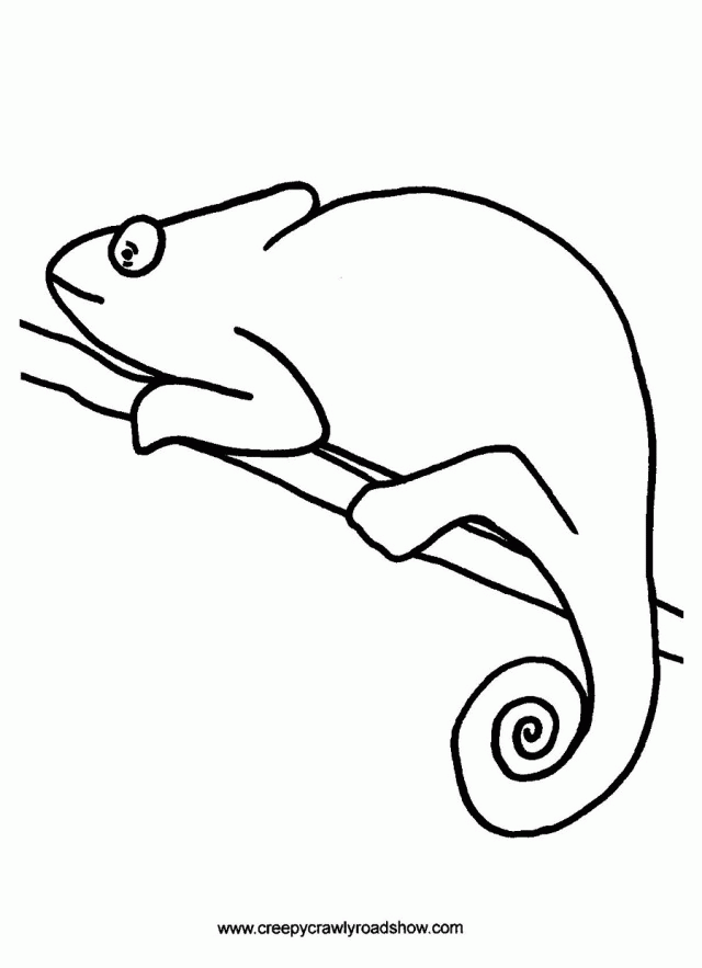 free-mixed-up-chameleon-coloring-page-download-free-mixed-up-chameleon