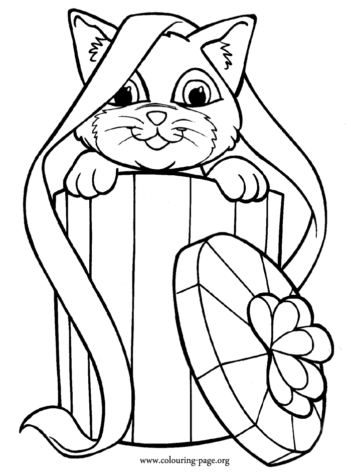 cats and kittens adorable cat inside box coloring page