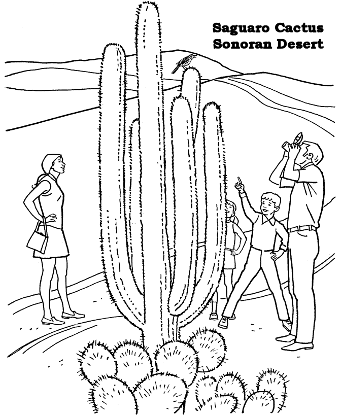 Cactus Coloring Pages Free: Cactus Coloring Pages Free