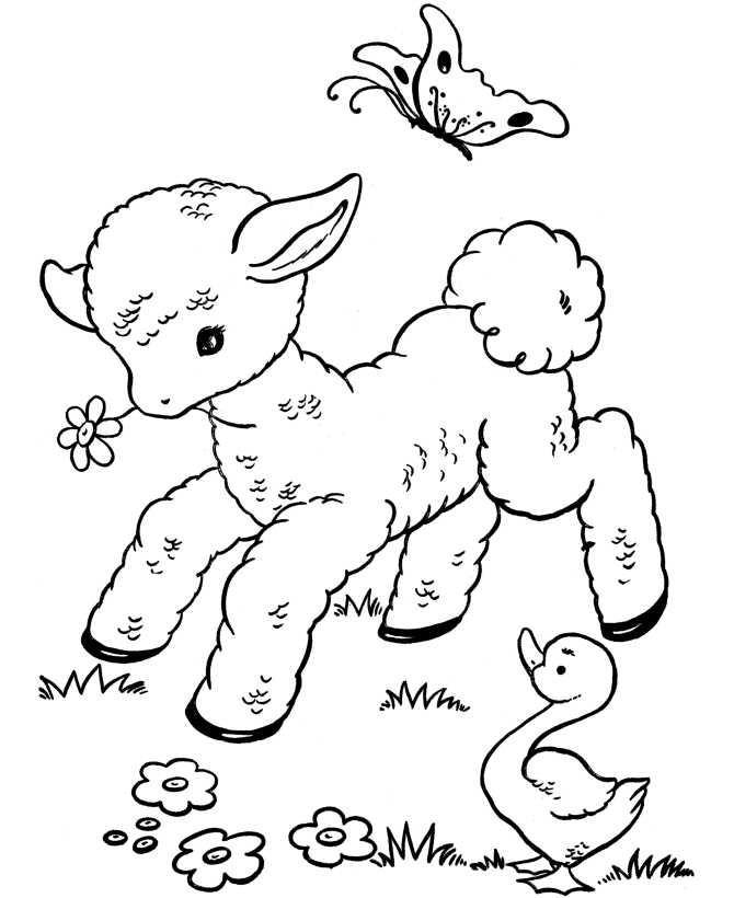 Lambs Coloring Pages | Free Printable Coloring Pages | Free