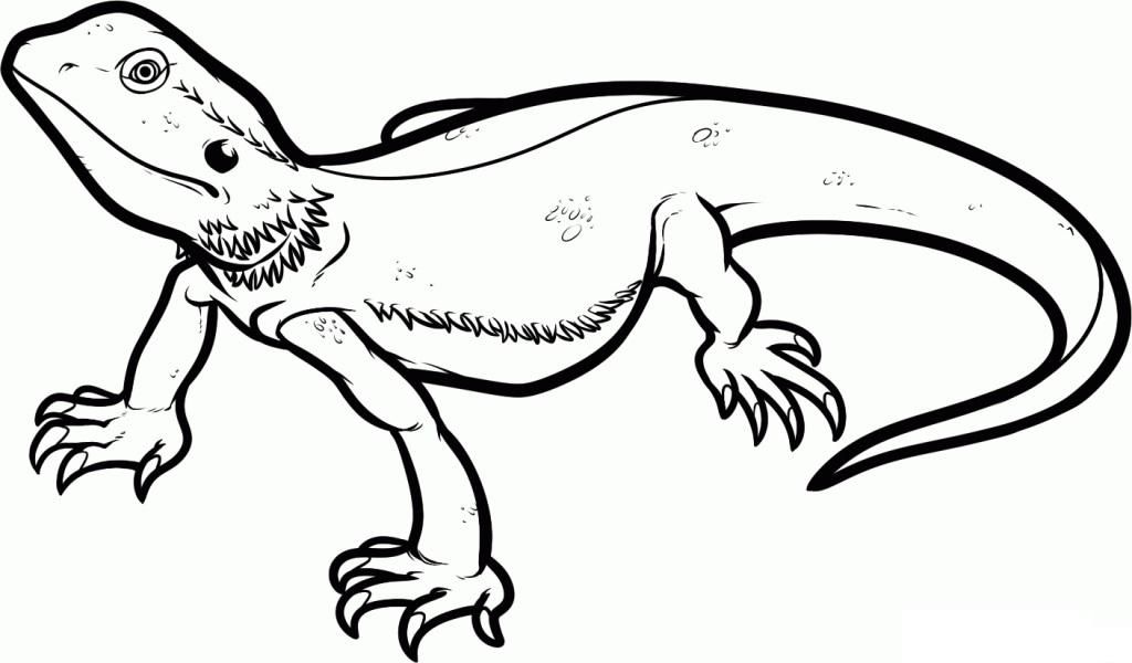 Free Bearded Dragon Coloring Pages, Download Free Bearded Dragon