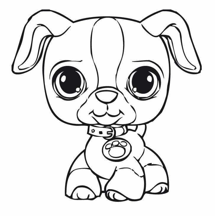 Free Lps Coloring Pages Collie, Download Free Lps Coloring Pages Collie