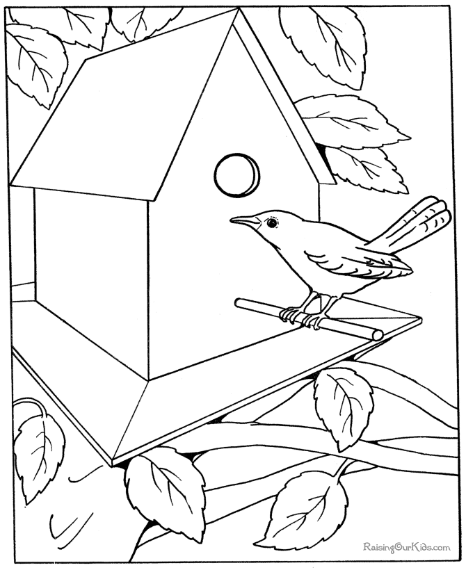 Free | Coloring Pages For Adults -Clipart Library- Bird Free