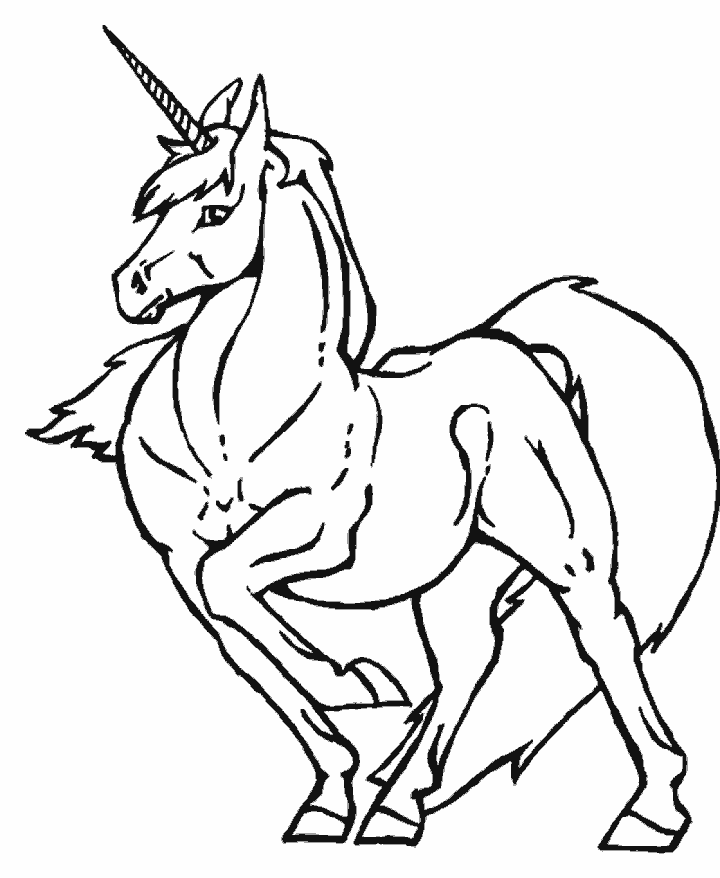 Unicorns 1 Fantasy Coloring Pages  Coloring Book
