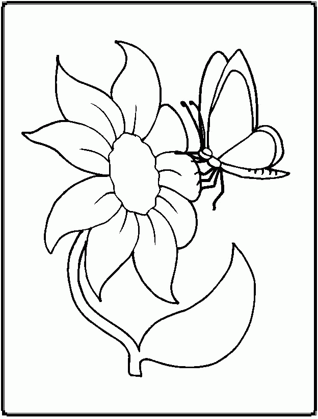 Free Coloring Pages Of Butterflies And Flowers, Download Free Coloring