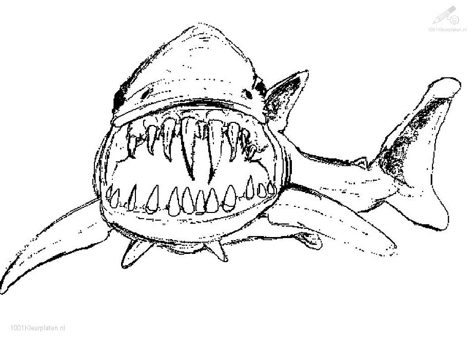 Coloring Pages Of Sharks - Coloring For KidsColoring For Kids