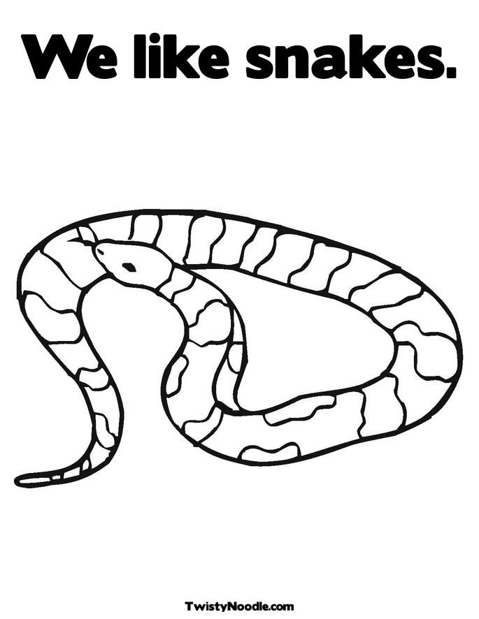 LIZARDS SNAKES Colouring Pages