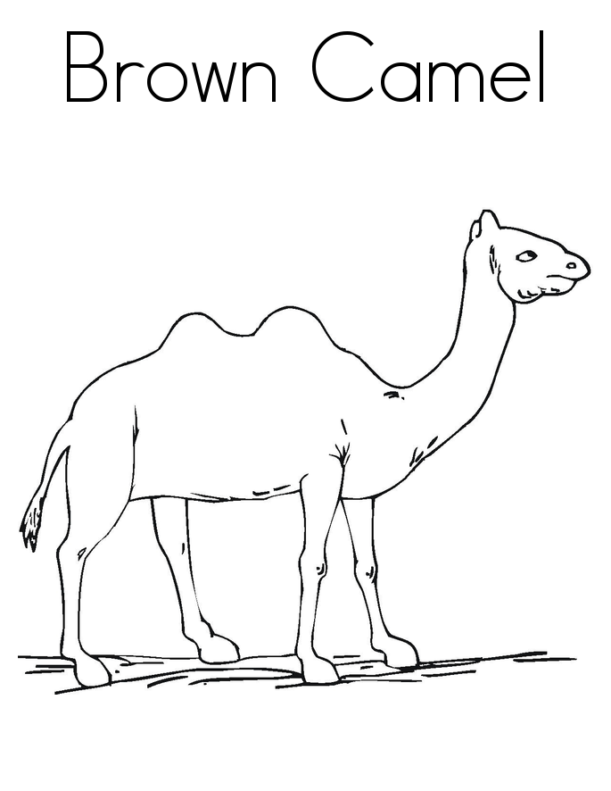 Free Printable Camel 