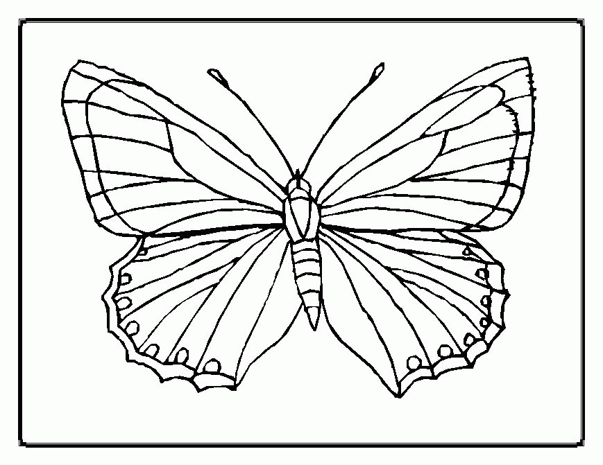 Kids Coloring Flower And Butterfly Coloring Pages Flower