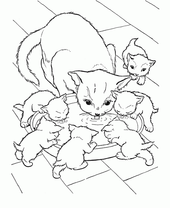Free Cat Drinking Milk Coloring Page