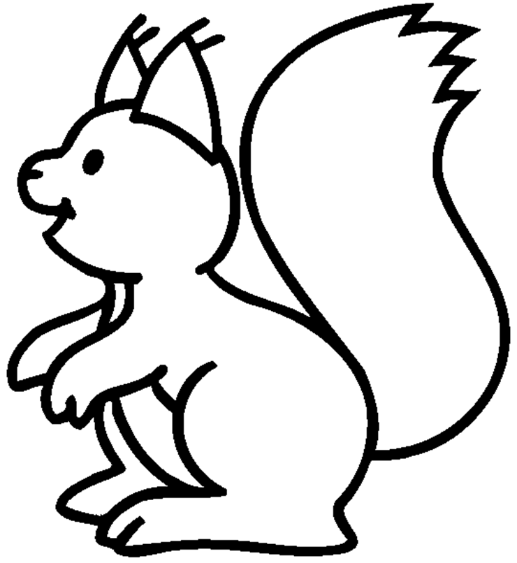 baby squirrel Colouring Pages