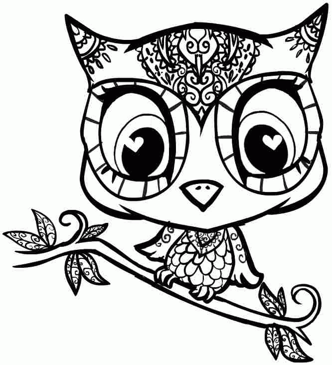 Animal Owl Coloring Sheets Printable Free For Kids  Girls