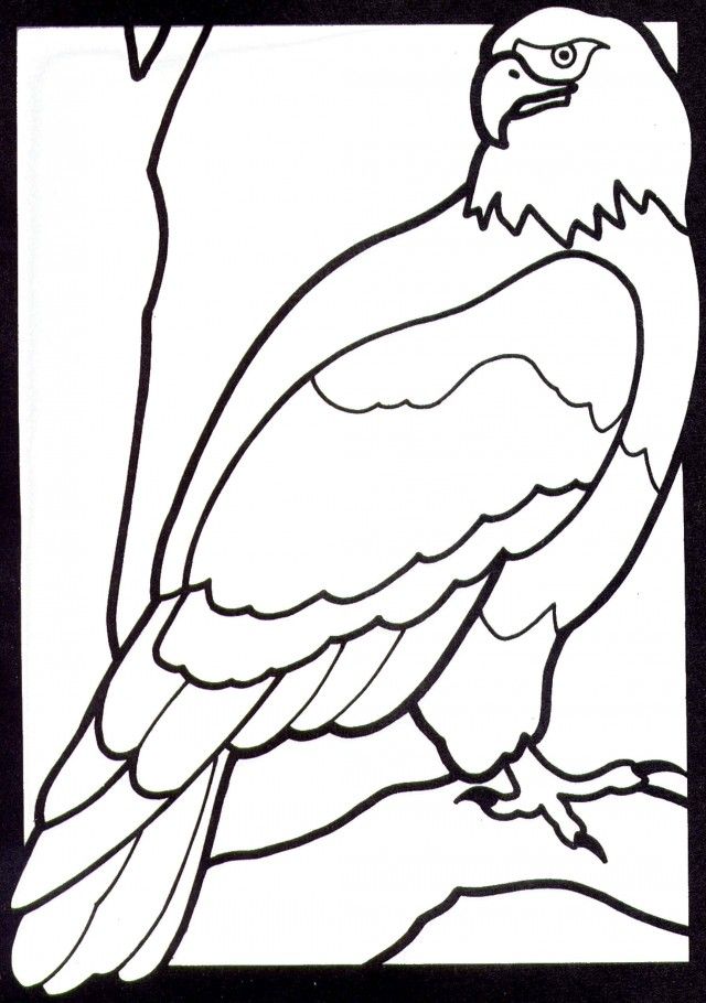 Bald Eagle Coloring Eagle Coloring Sheet Kids Coloring
