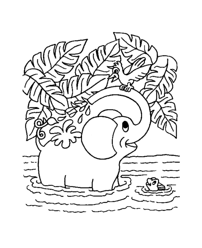 Jungle Coloring Pages 