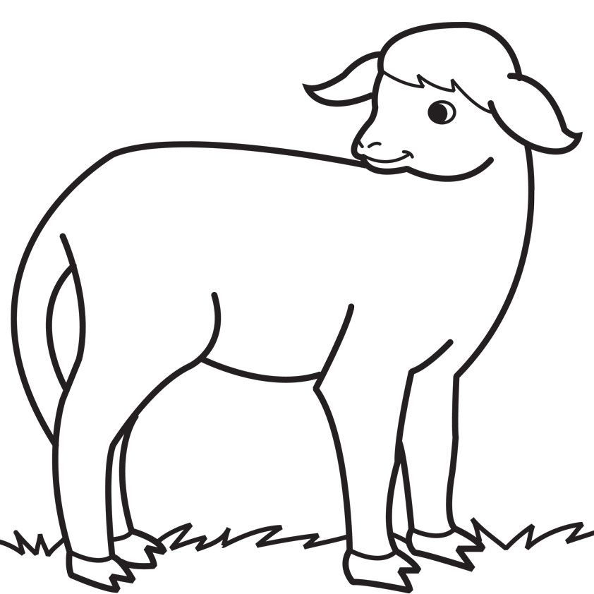download Lamb| Coloring Pages for Kids | Great Coloring Pages