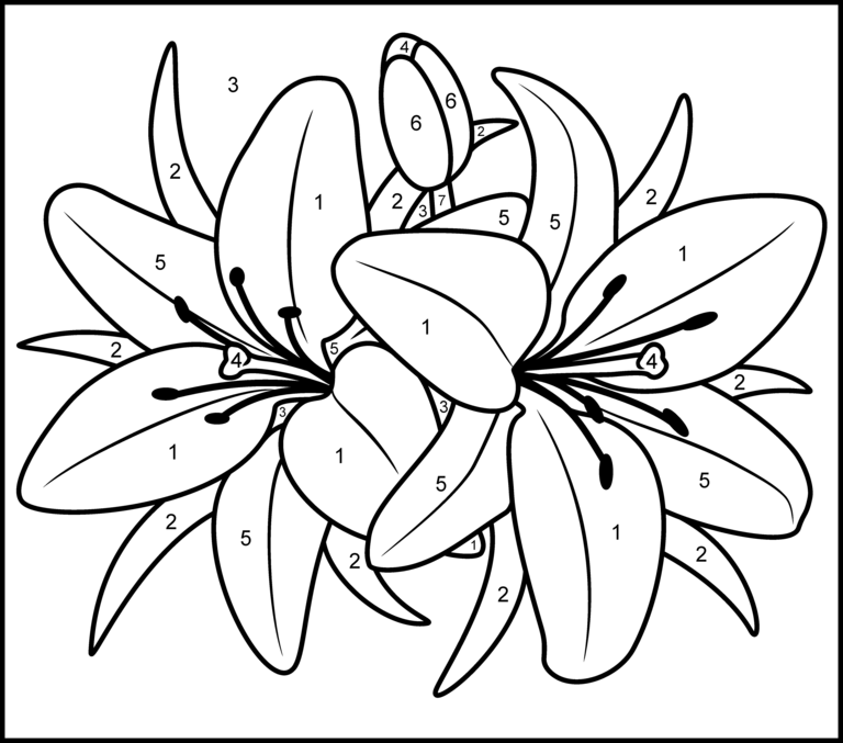 paint by number Colouring Pages