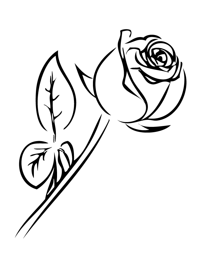 Featured image of post Art Realistic Rose Coloring Pages - This will be a print of the actual drawing, and will not include the copyright across picture.