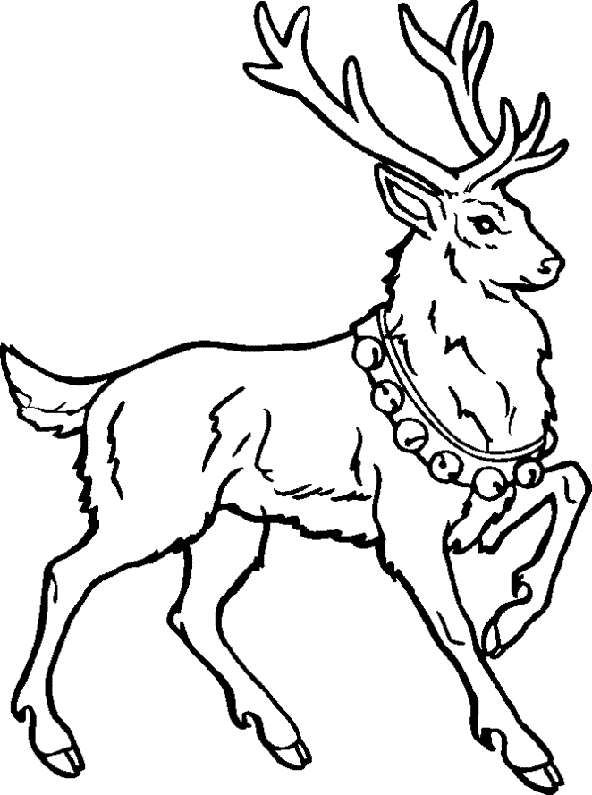 Reindeer| Coloring Pages for Kids | Free Printable Coloring Pages