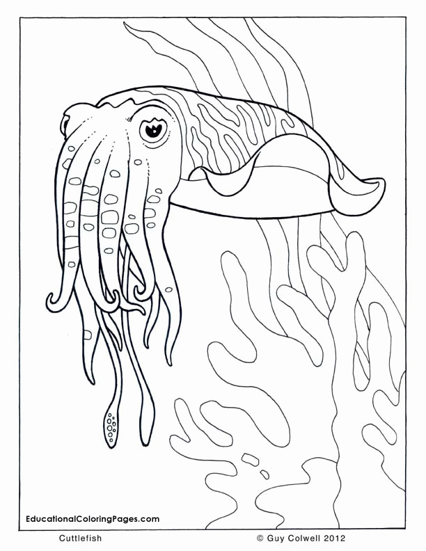 coloring-pages-for-kids-ocean-clip-art-library