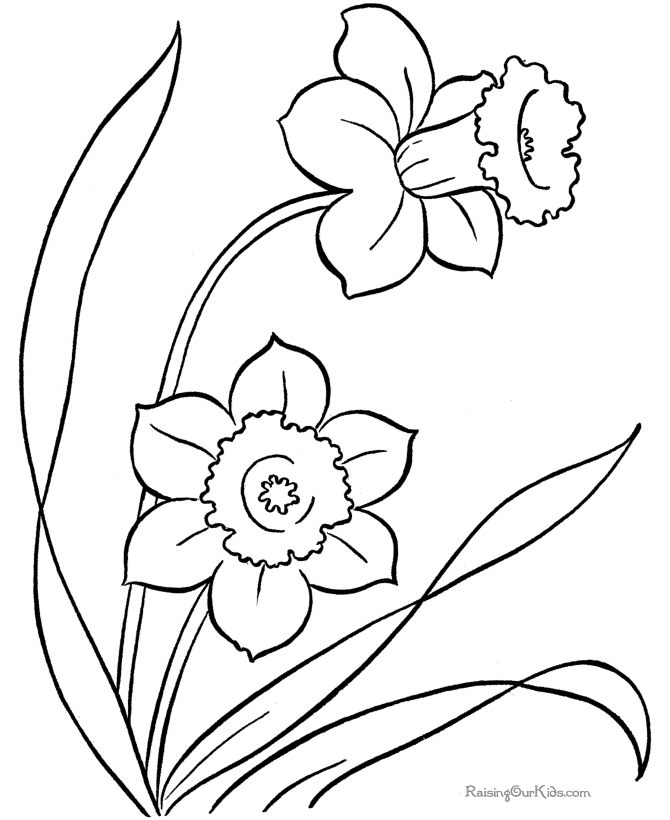 Flower Coloring Clip Art Library