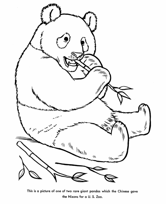 Featured image of post Panda Coloring Pages Printable 43 kung fu panda pictures to print and color watch kung fu panda 3 movie trailers more from my sitemulan coloring welcome to one of the largest collection of coloring pages for kids on the net