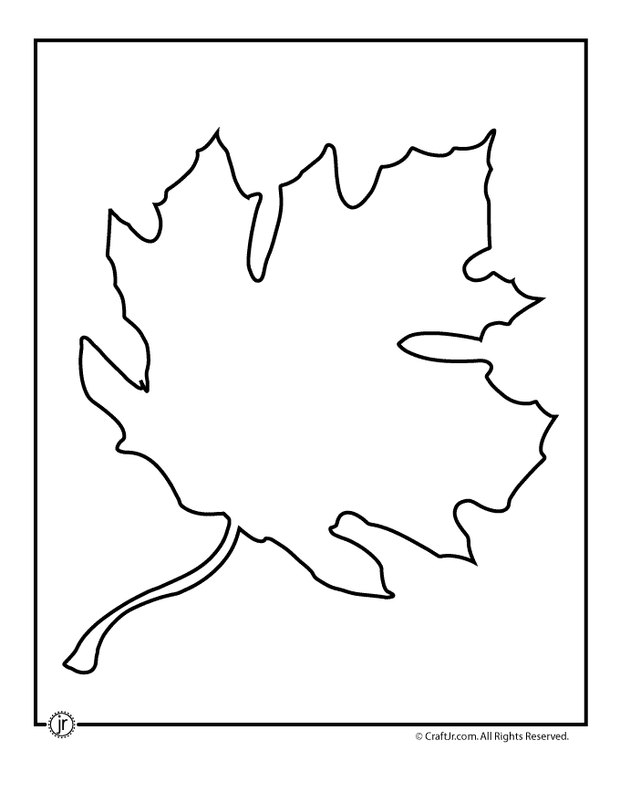 Maple Leaf Template 