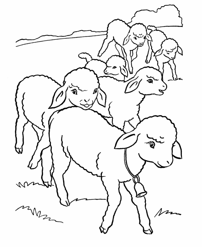 Farm Animal Coloring Pages | Printable flock of lambs Coloring