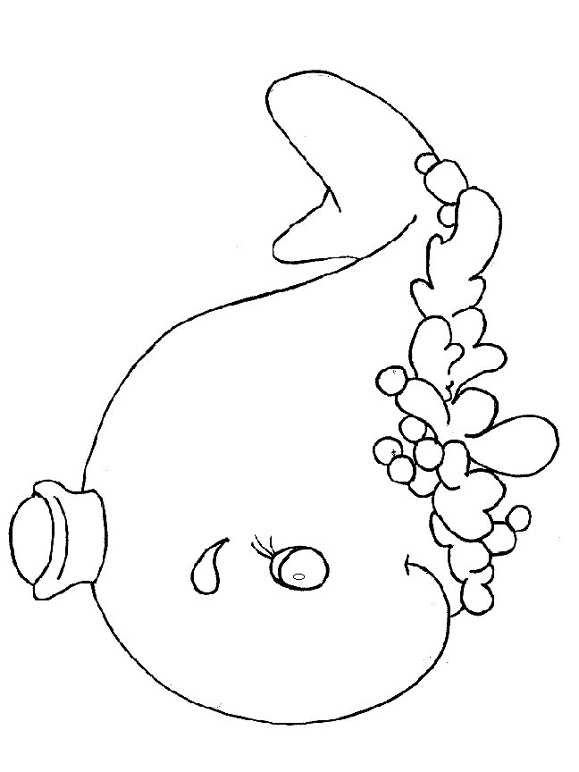 Sea animals coloring pages � Pretty Dolphin