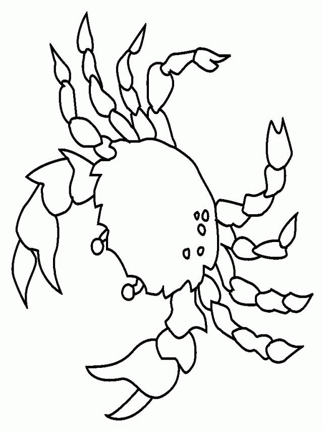 Animal Drawings Coloring Picture Of Crab Child Coloring