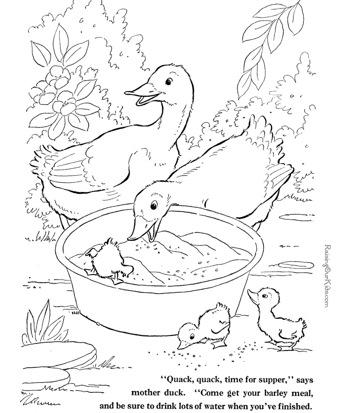 duckling coloring page